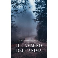 Il cammino dell'anima